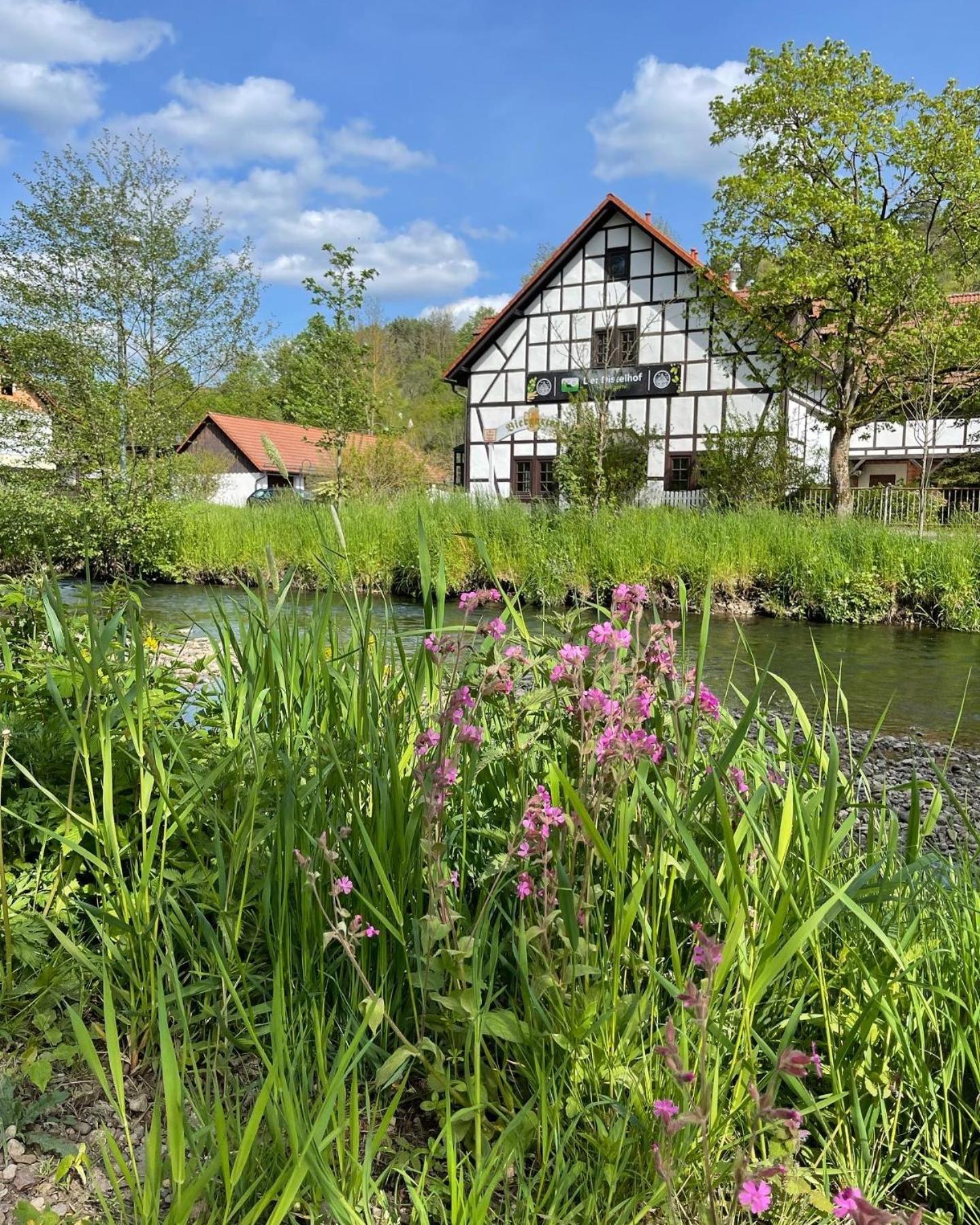 Landhotel Der Distelhof Mit Scheunencafe Dillstadt Exterior foto